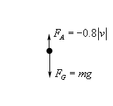 In this sketch there a dot representing the object and an arrow pointing down from the dot labeled $F_{G}=mg$. There is also an arrow pointing down from the dot labeled $F_{A}=-0.8\left| v \right|$.