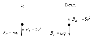 modeling differential equation systems