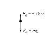 In this sketch there a dot representing the object and an arrow pointing down from the dot labeled $F_{G}=mg$.  There is also an arrow pointing down from the dot labeled $F_{A}=-0.8\left| v \right|$.